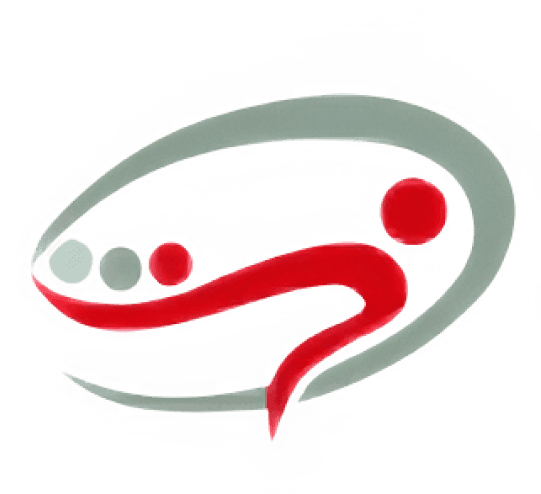 AirOn Physical Therapy logo